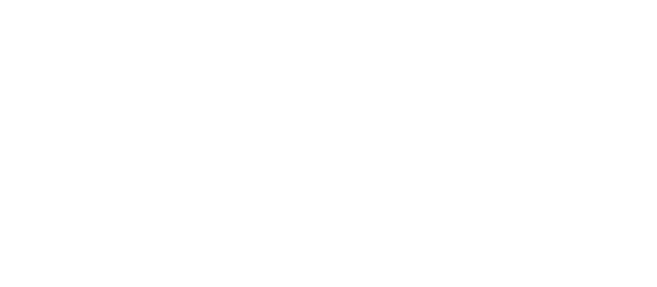 Vision