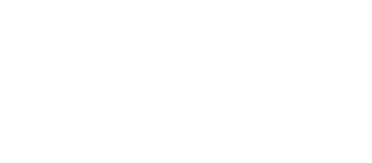 Vision
